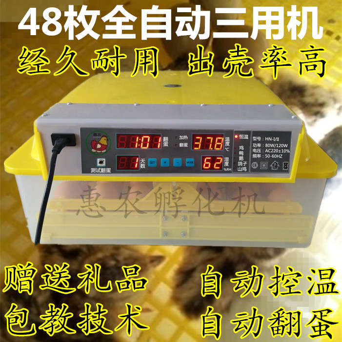 电小鸡枚48机小鸭孵化器孵蛋抱鹅箱设备全自动小型孵化孵化机家用