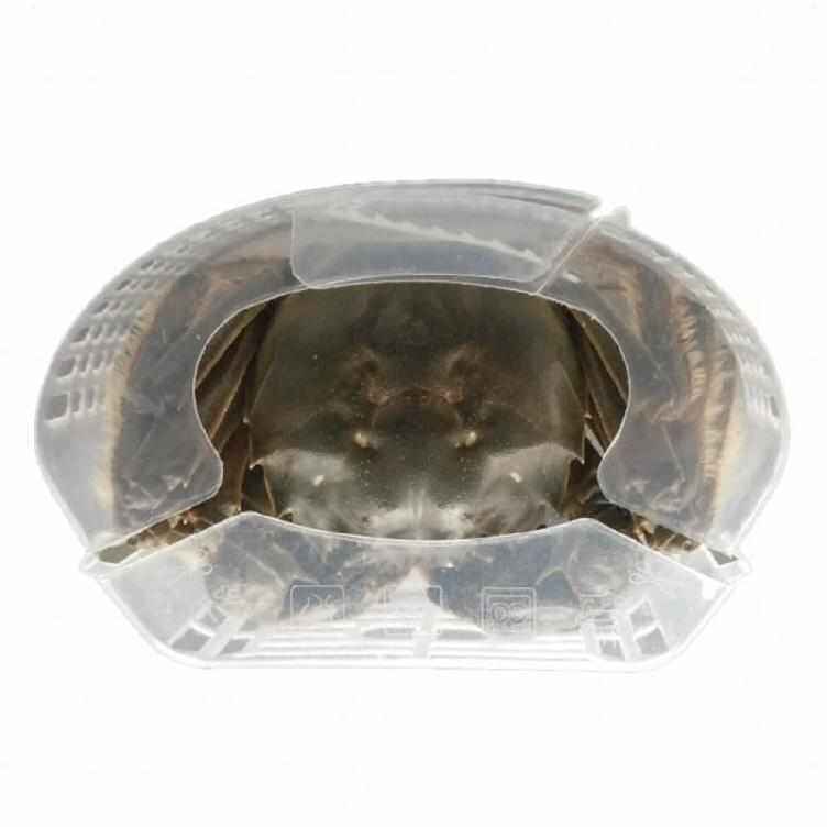 蟹之家大闸蟹速装器绑螃蟹盒PP材质绑蟹神器蒸煮螃蟹包装塑料盒,包装,透明胶盒,淘宝优惠券,粉丝福利购,淘宝优惠卷