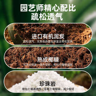 绿萝专用土营养土植物专用花卉土养花种花种植土盆栽土壤肥料泥土