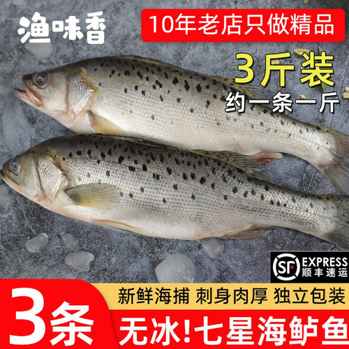 海捕超大海鲈鱼3条装顺丰包邮