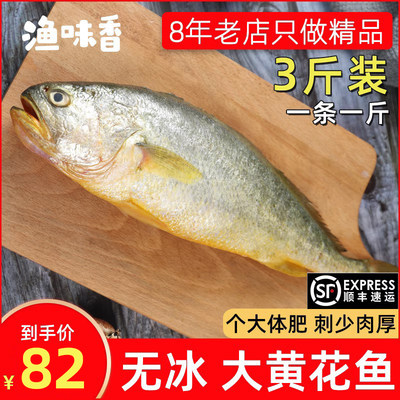 大黄花鱼3斤3条顺丰包邮