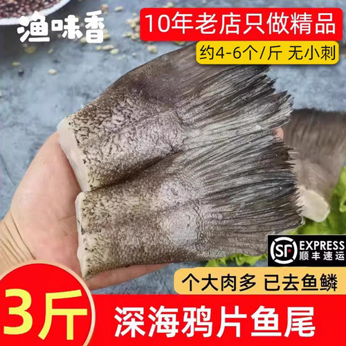 深海鸦片鱼鲽鱼比目鱼尾