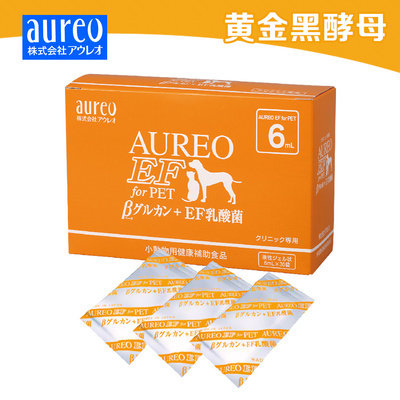 黄金黑酵母鼠花枝鼠金丝熊脂肪瘤