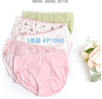 安莉芳五条装棉质中腰三角裤女
