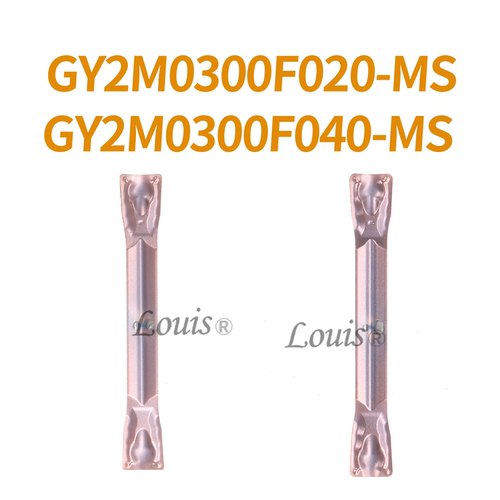 GY2M0300F020-MS/GY2M0300F040