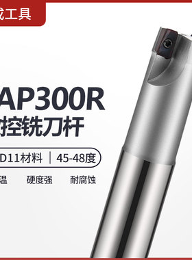 BAP EAP300R数控cnc加工中心1135刀杆D21-24 R0.8立铣刀杆