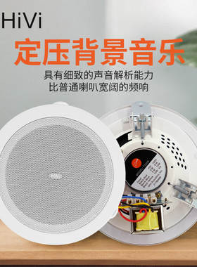 HIVI惠威TD206工程广播吊顶音响 5.25寸吸顶音箱10W校园消防喇叭