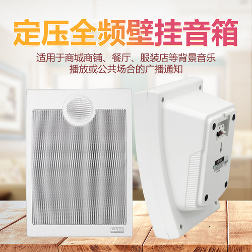惠威tw106壁挂音响功率公共广播