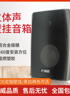 惠威VA4-OS 定阻壁挂音响4寸5寸6寸8寸大功率喇叭立体声会议音箱