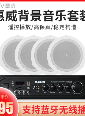 惠威TD206酒店超市广播背景音乐吸顶喇叭套装 天花吊顶音响套餐