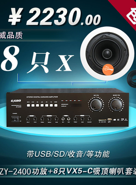 HIVI/惠威VX5-C 吸顶喇叭8只定阻同轴立体声音响广播吊顶音箱套装