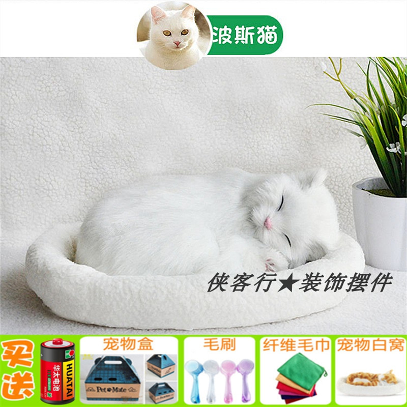 模型威源猫特价促销会呼吸睡觉