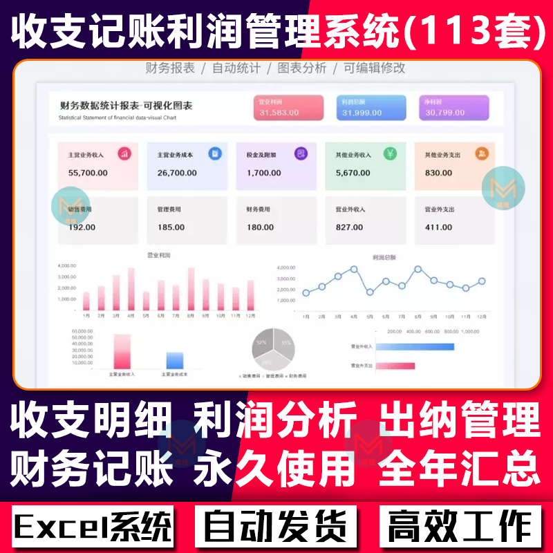 财务会计管理excel表格收支记账系统利润分析可视化资金预算报表