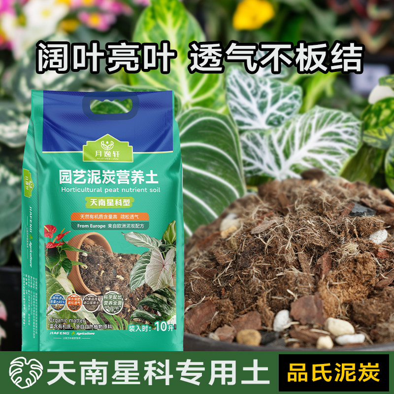 月逸轩天南星科类疏松透气