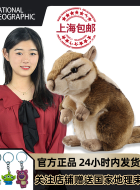 国家地理毛绒玩具仿真花栗鼠玩偶娃娃松鼠公仔ational geographic