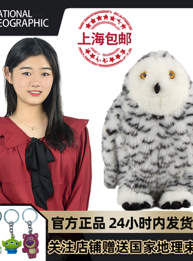 国家地理毛绒玩具仿真雪鸮娃娃玩偶公仔哈利波特白色猫头鹰礼物