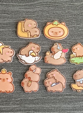 洞洞鞋配饰高级感鞋扣crocs鞋子配件diy亚克力卡皮巴拉水豚熊鞋花