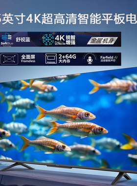 Philips/飞利浦 65PUF7359/T3/PQF8580/7169/UF7069 65英寸4K电视