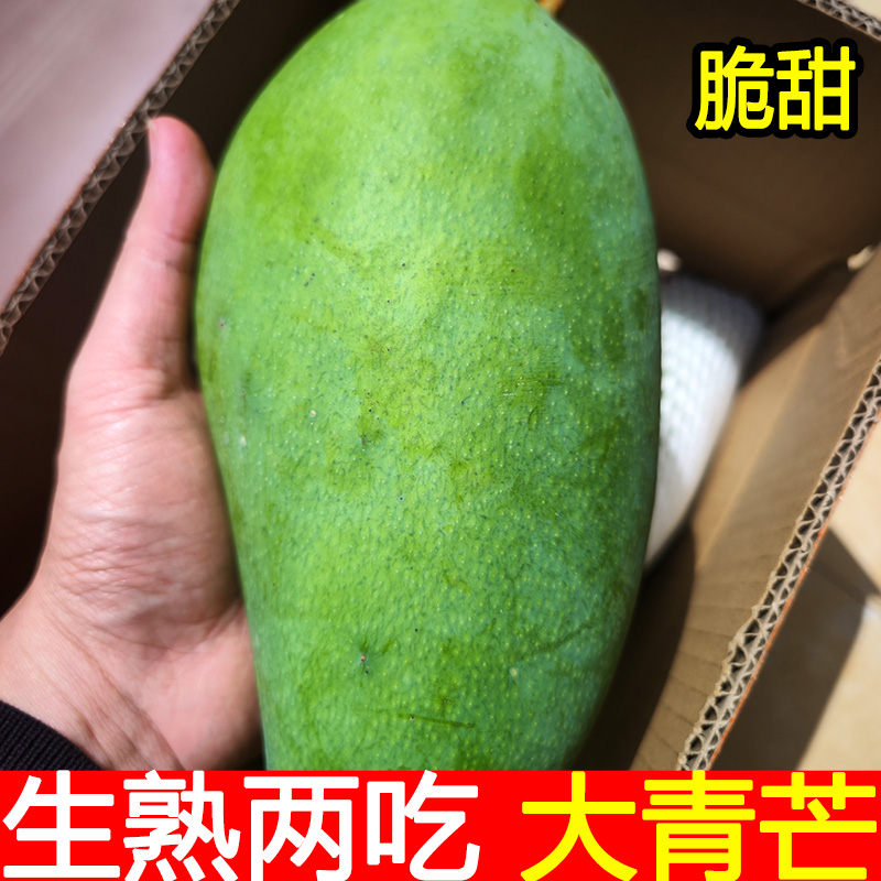 青皮金煌芒特大果新鲜香甜