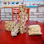 降龙木原木野生天然把玩收藏木料老料家居镇宅玄关装 饰实木摆件