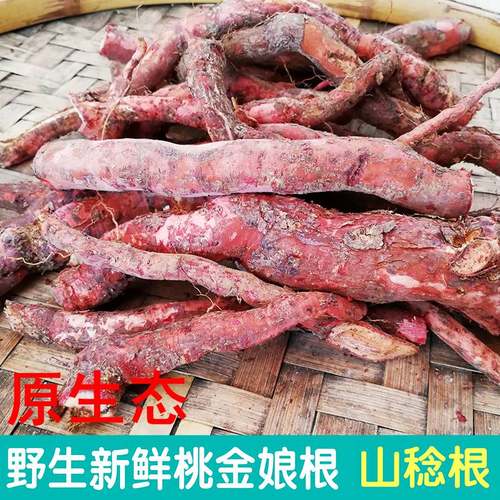 野生岗稔根煲汤泡酒补血益气壮腰