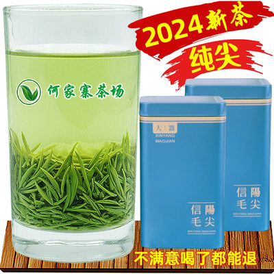 2024新茶信阳毛尖明前特级全芽尖