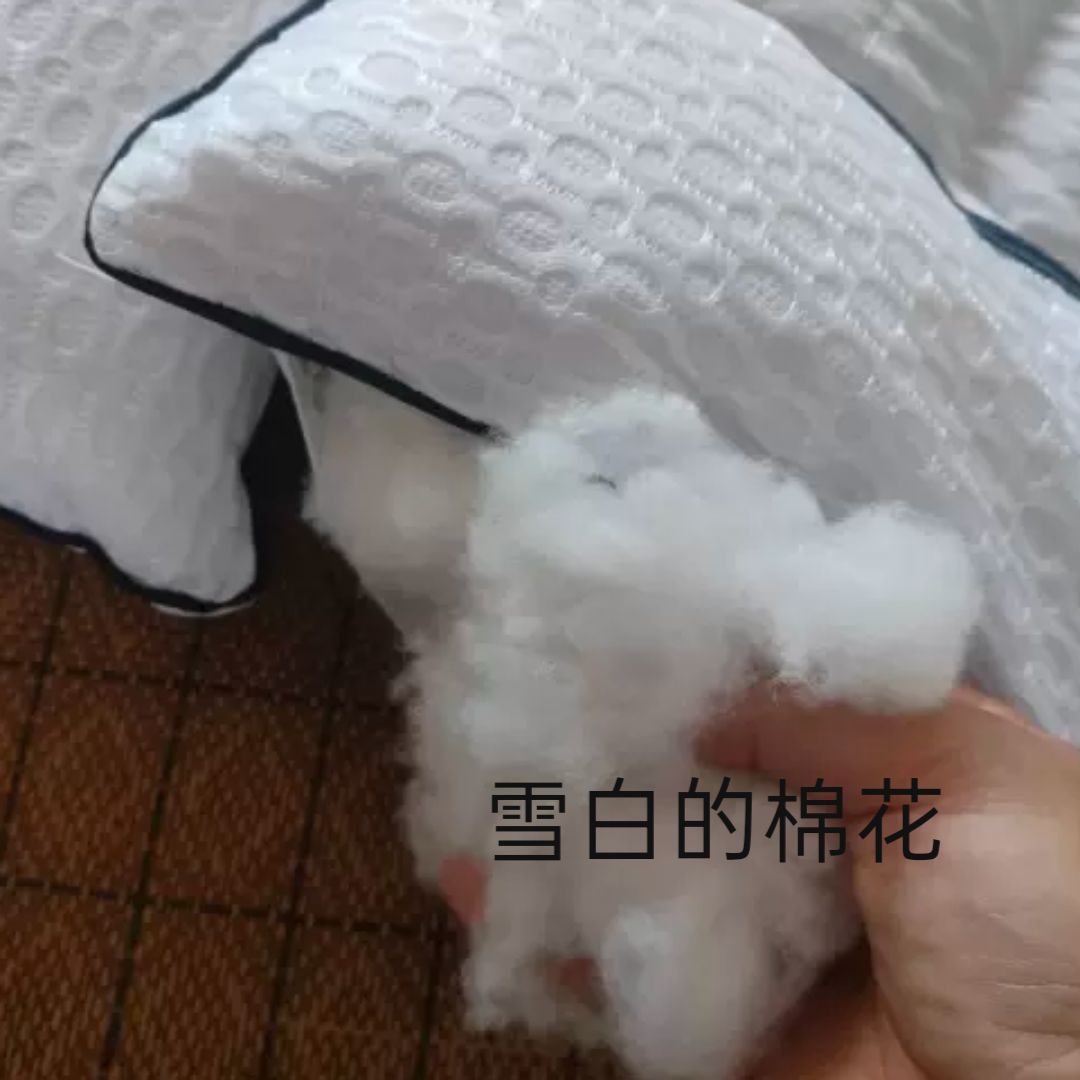 精品美容院专用全棉小方枕30*50健康护颈保健决明子养生枕芯包邮