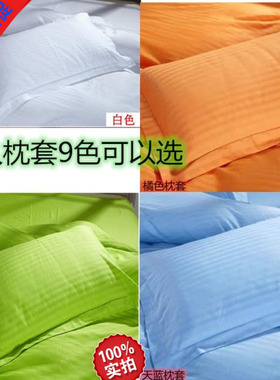 宾馆单人枕头成人全棉枕套美容枕芯纯色大号40*70单人枕头套包邮