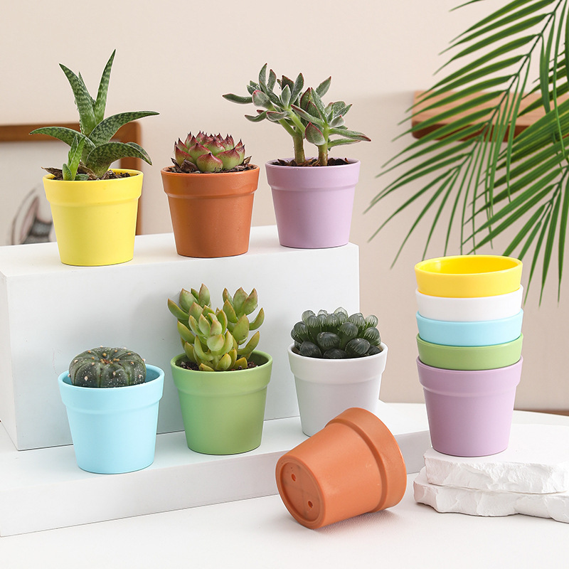 新多肉种植植物绿植控根瓶塑料花盆加厚国际盆新料微景观多肉摆件