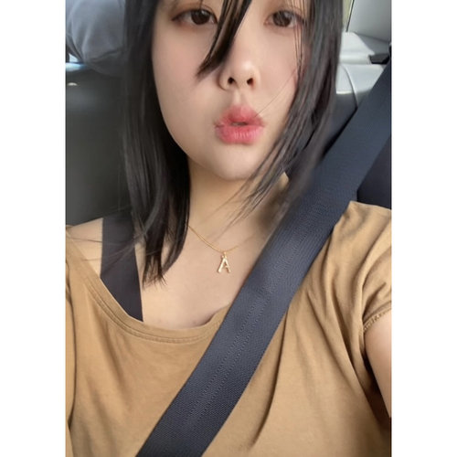 虫ins欧美风金色A字母项链锁骨链