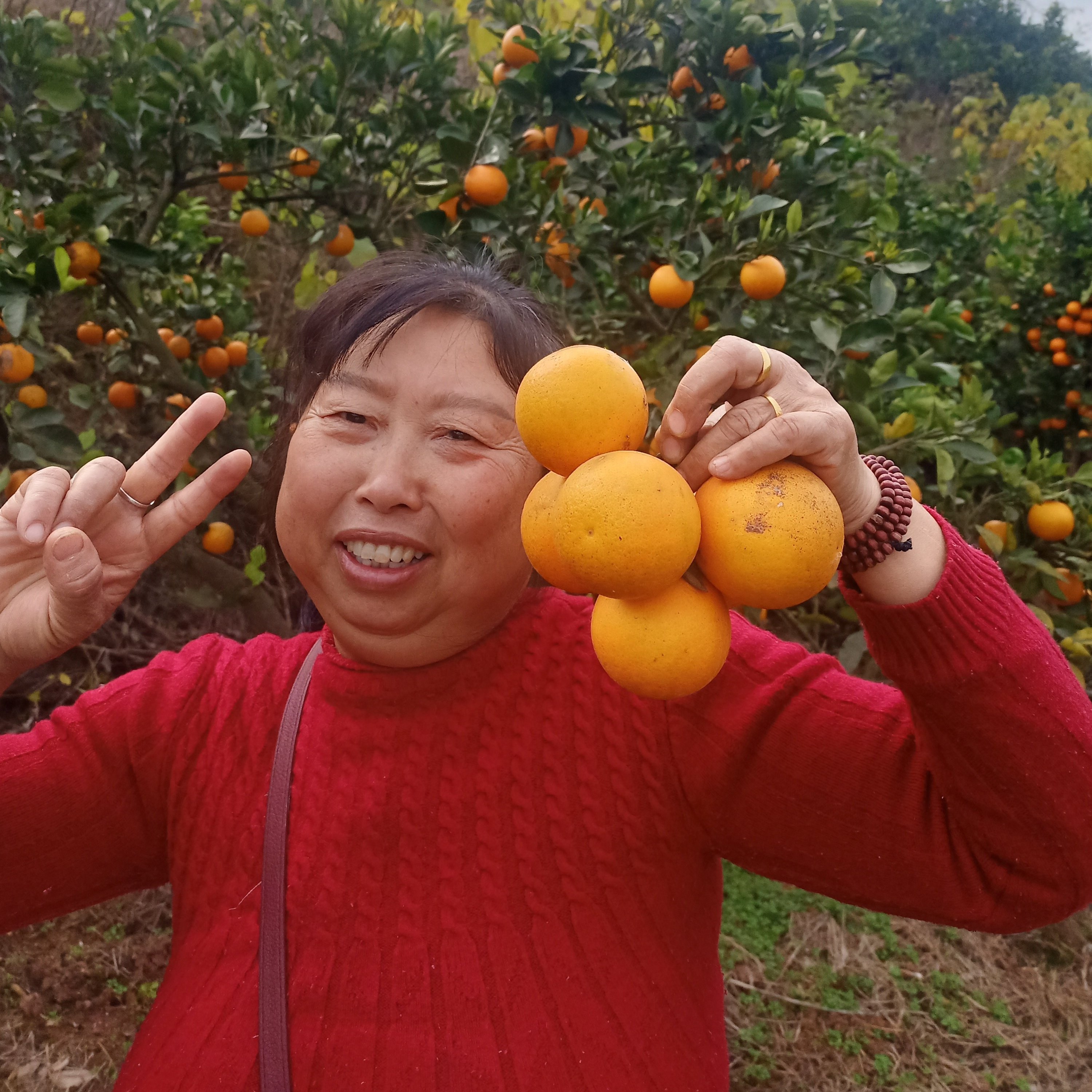 麻阳冰糖橙农民自己现摘现发甜橙手剥橙纯天然不洗保鲜药水冰糖橙