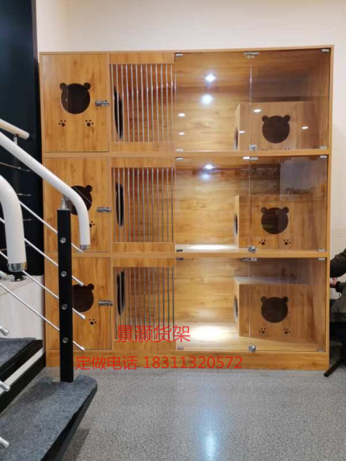 北京定做猫咪展柜宠物店猫狗活体透明玻璃展示柜猫狗寄养柜猫别墅