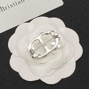 男女时尚胸针花鸟CD标志黄铜银色饰面新款单品