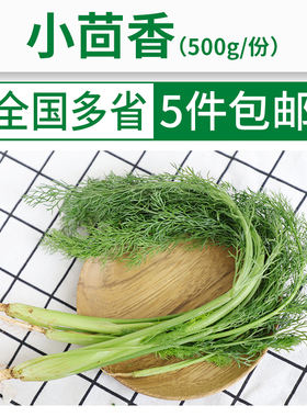 【包生鲜】新鲜小茴香500g 茴香苗叶刁草 畜禽调味 饺子包子料
