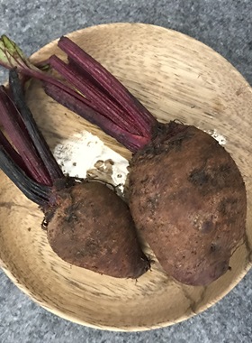 红菜头甜菜头beetroot新鲜现挖甜菜根红菜头田菜