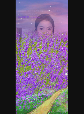 薰衣草花园直播礼物 薰衣草手机态效果 花海svga动态直播礼物