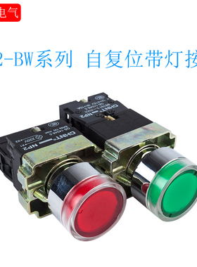 正泰（金属头）带灯按钮1常开 绿色 NP2-BW3461 LED AC24V AC220V