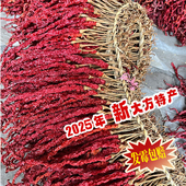 毕山堂特香贵州大方特产皱椒鸡爪辣二荆条海椒长辣椒微辣干辣椒