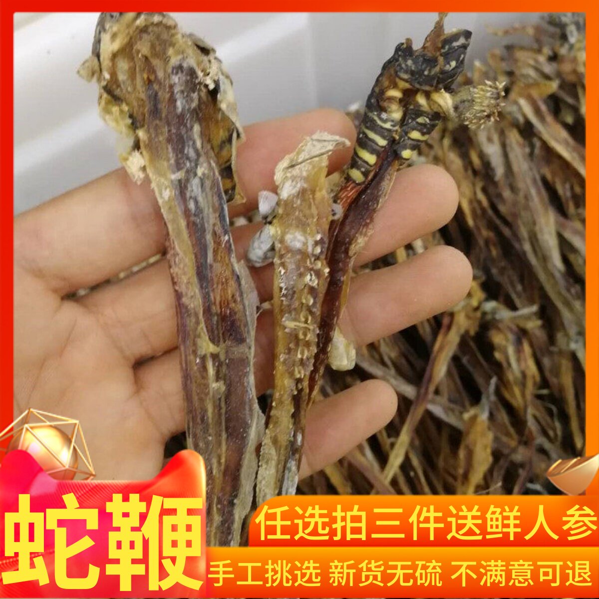 正品纯眼镜蛇鞭500克包邮 泡酒料 正品干蛇鞭 中药材另全蝎蜈蚣