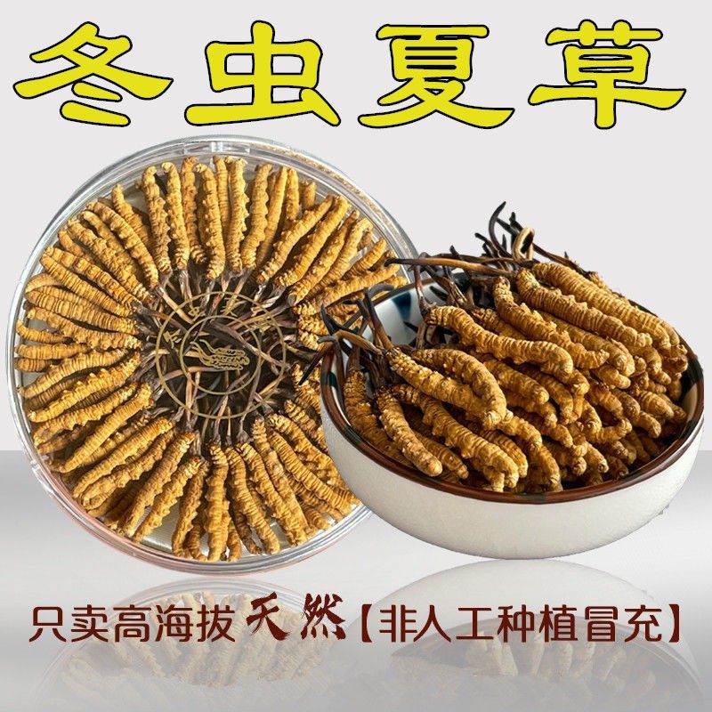 那曲冬虫夏草精品旗舰店正品