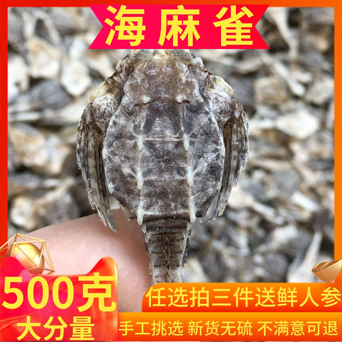 海麻雀干货500克包邮 渔民自晒宜搭配海龙养生煲汤泡酒料海燕子