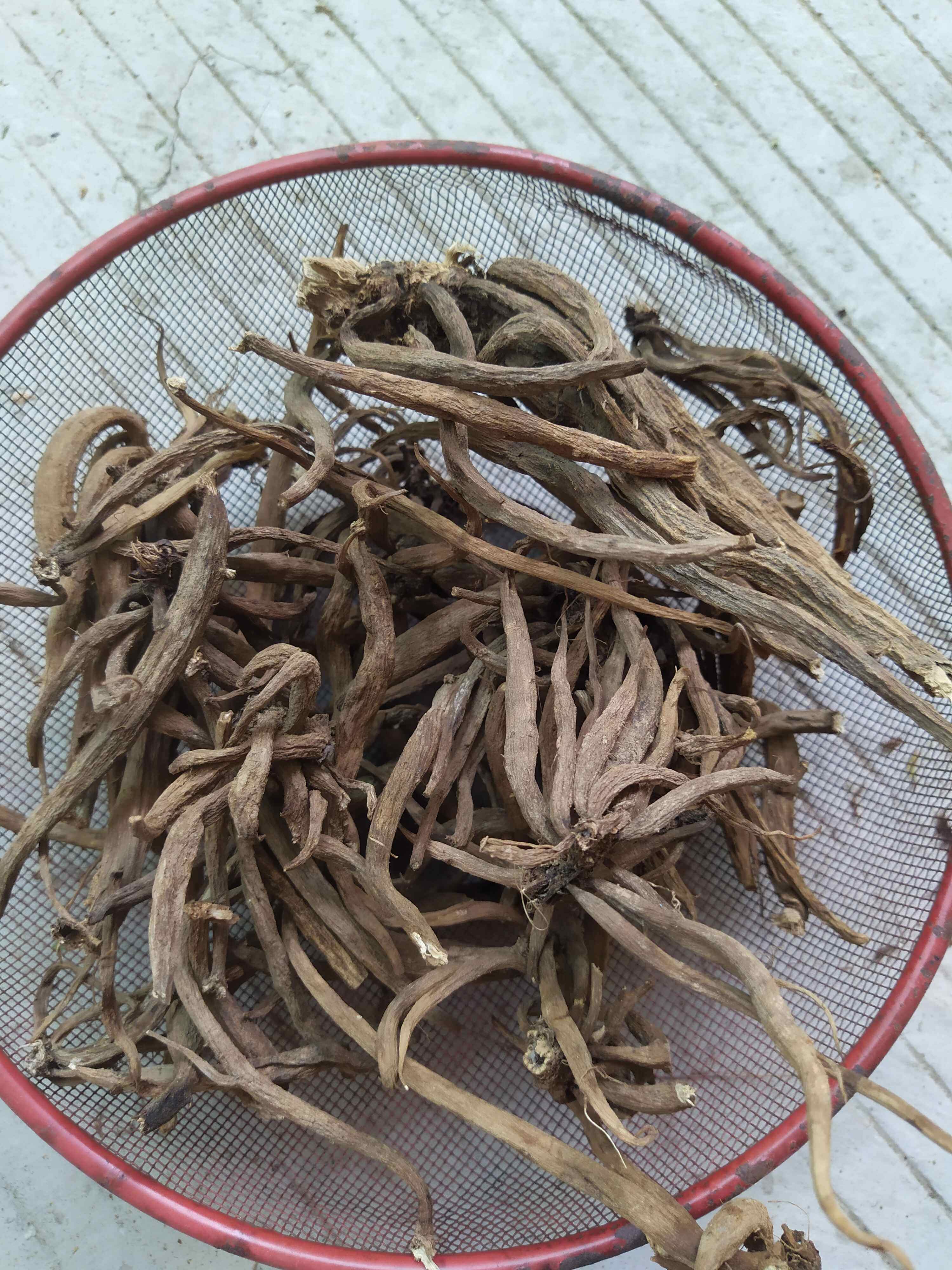 野生中草药 鲜品 干品 大蓟根 鸡角刺 鸡母刺 六月霜 野红花