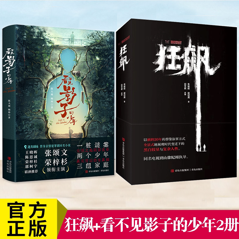 狂飙看不见影子的少年