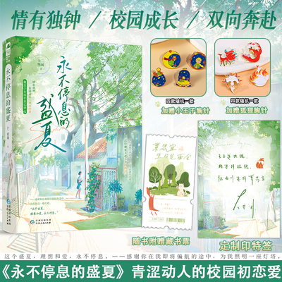 印特签【加赠主题胸针x2】正版 永不停息的盛夏 十二里闲 青春校园成长双向暗恋校园成长情有独钟校园BE文言情小说