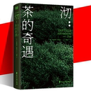 现货 沏：茶 冲泡方式 魅力与深邃 关于不同茶叶 茶 带你领略茶文化 饮食文化书籍 饮茶爱茶寻茶制茶 奇遇 看中国 茶文化 读创