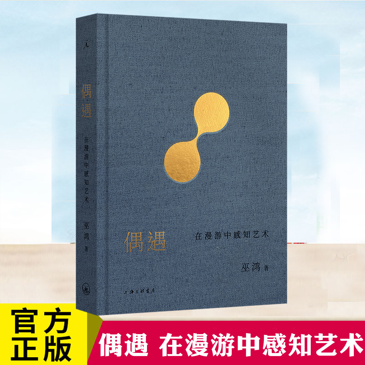 现货正版 偶遇 在漫游中感知艺术 巫鸿 讲述艺术的新故事书 从构图视觉焦点造型着色…等艺术作品为例阐释视觉分析的含义和运作