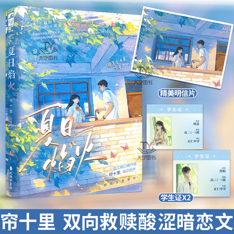 正版  夏日焰火1 帘十里著 新增全新番外 青春文学爱情校园暗恋双向救赎言情小说  春枝秋雨 作者