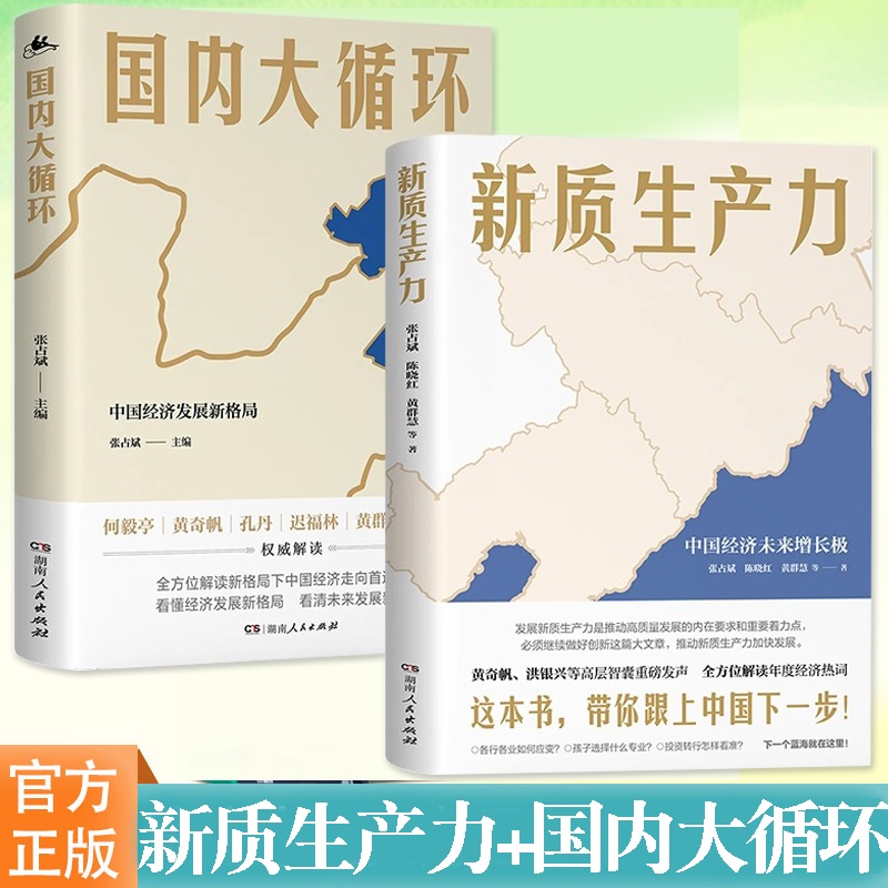 新质生产力国内大循环