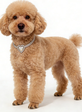 欧美跨境爱心人造珍珠宠物项圈跨境时尚水钻猫狗项链礼物necklace