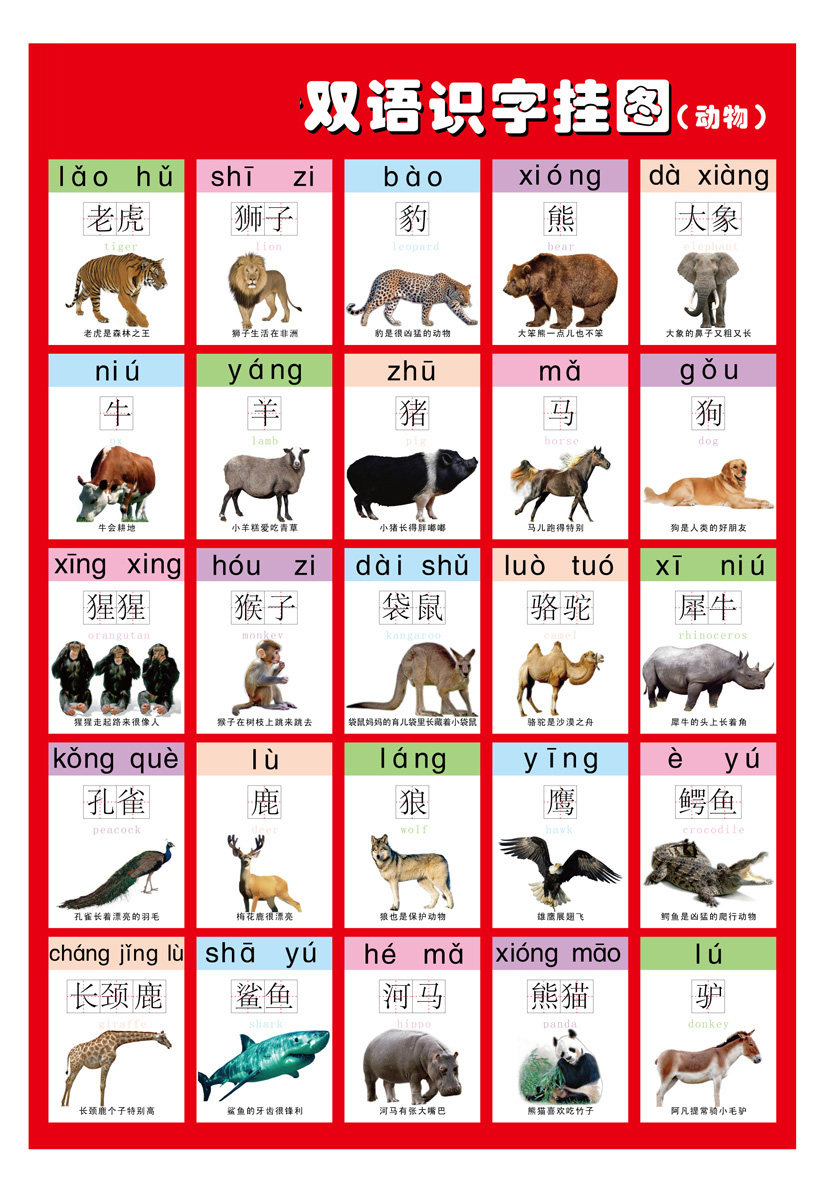 109薄膜海报印制展板喷绘写真190幼儿园双语识字挂图 动物
